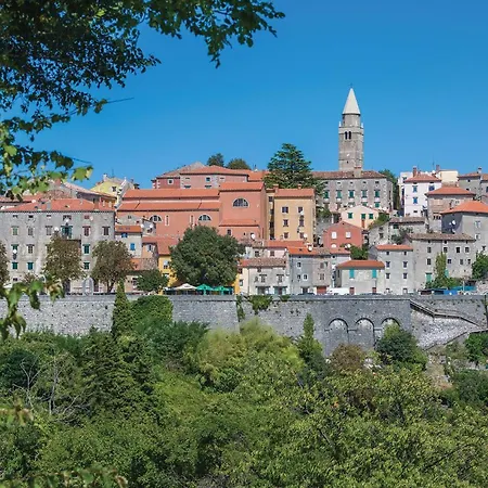 Pet Friendly In Labin With Kitchen
