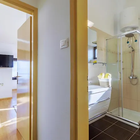 Pet Friendly In Labin With Kitchen Appartamento